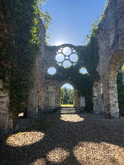 Supervision thérapeutique à Versailles